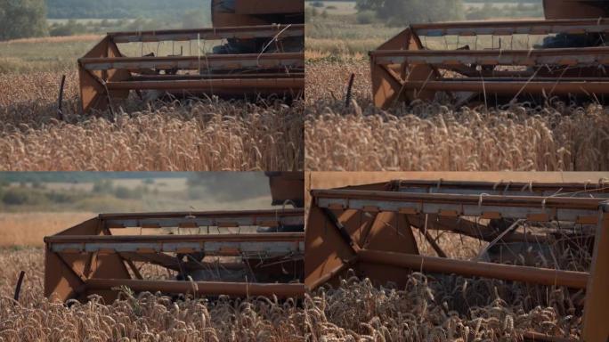 联合收割机在农村田地切割小麦作物的特写镜头。联合收割机的割草机切割小麦小穗。农机联合收割机从田间收割