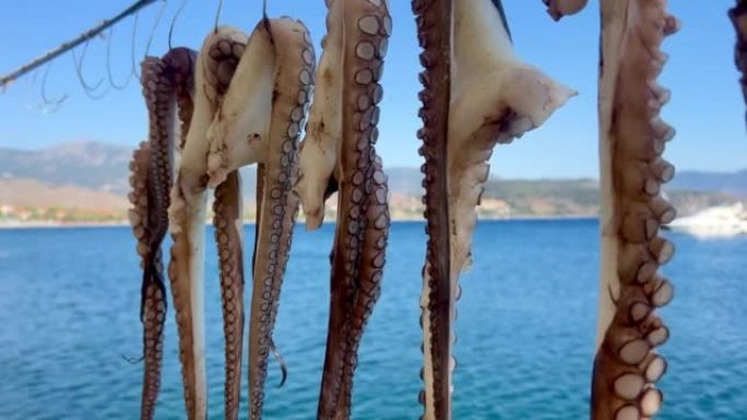 生章鱼腿挂在海上绳索上，在阳光下晾干