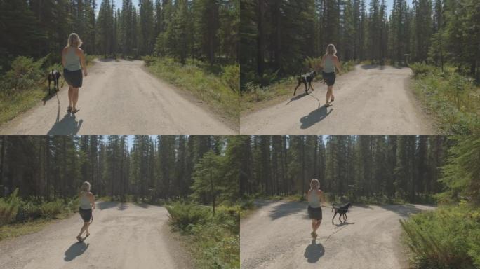 一个女人在荒野中walking狗的动态镜头