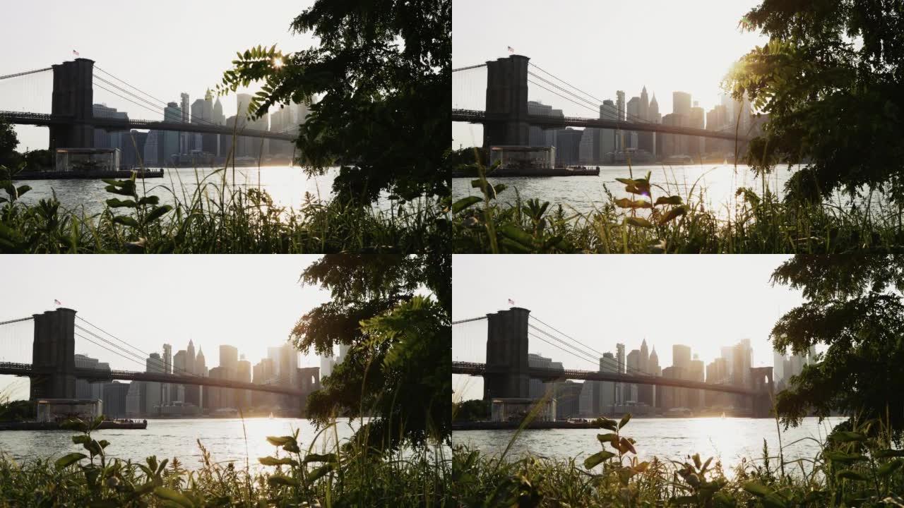 纽约市景观: 小飞象的布鲁克林大桥