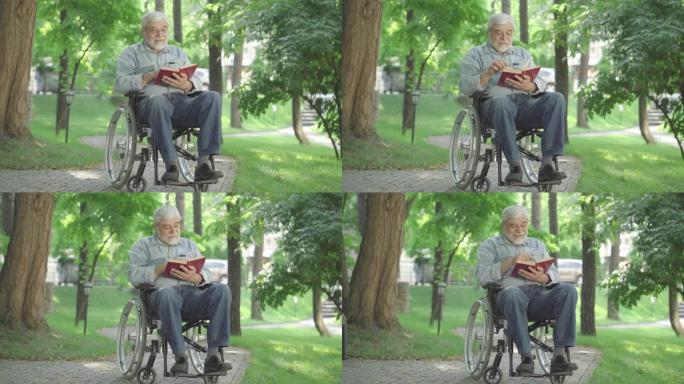 残疾老人坐在轮椅上看书。在阳光明媚的夏日，积极的高加索男性无效享受户外爱好的宽幅肖像。衰老和生活方式