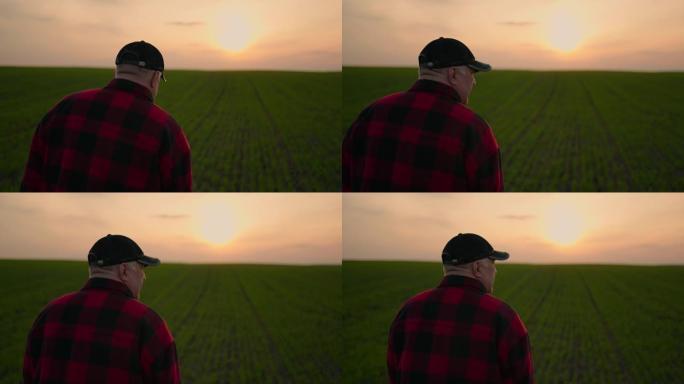 一位戴着帽子的老年男性农民站在日落时分，向远处望去。成功工作日的概念。田野上的拖拉机司机