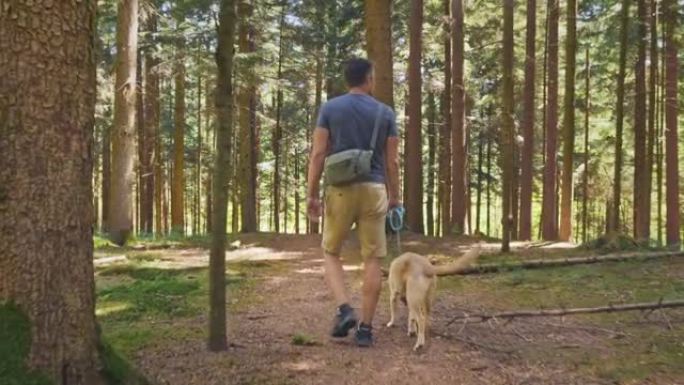 TS男人和他的幼犬在森林中徒步旅行