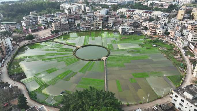 海口太极田航拍