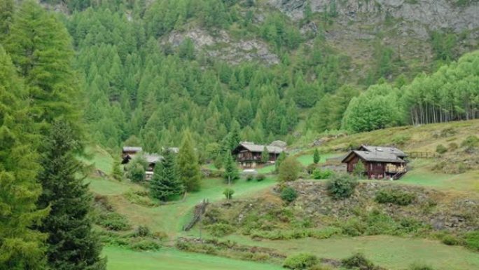 山谷中的木屋。绿色的山丘和云杉森林。采尔马特瑞士