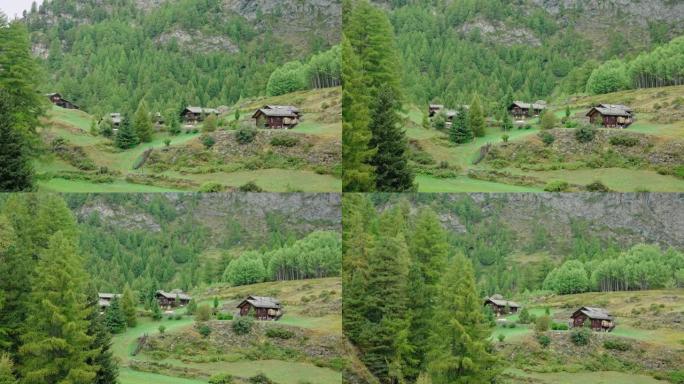 山谷中的木屋。绿色的山丘和云杉森林。采尔马特瑞士