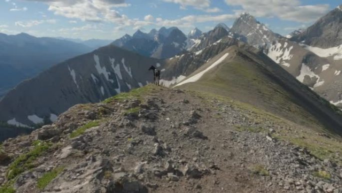 女徒步旅行者和宠物狗在山顶上享受时光