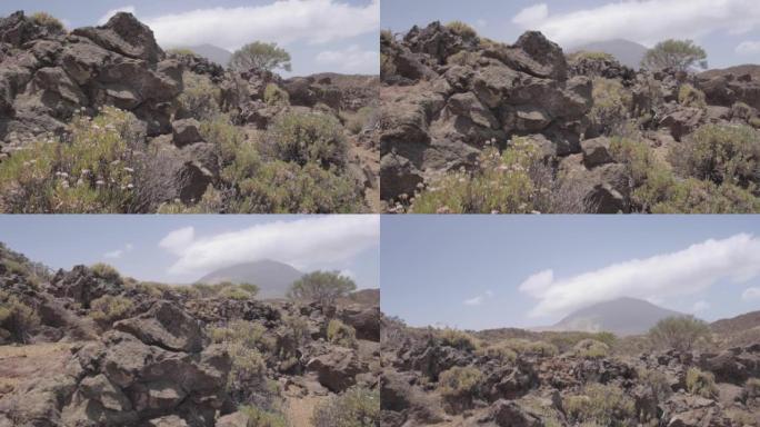 岩石沙漠的上升镜头，背后是山