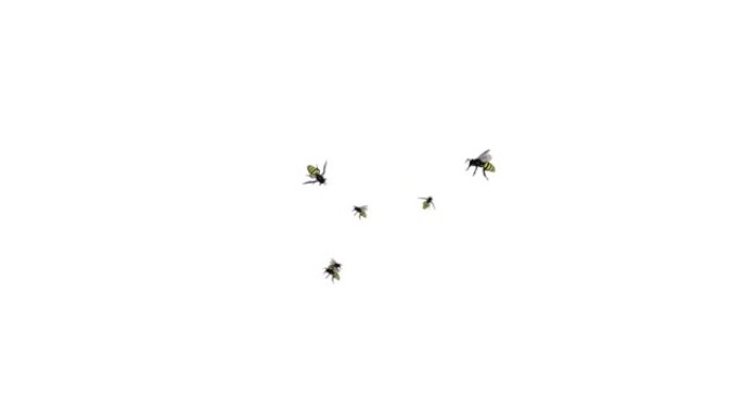 数百只蜜蜂飞来飞去，创建一个蜂群循环绿色屏幕背景。
