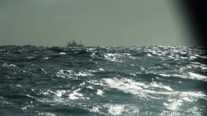 北海的拖网渔船: 渔业