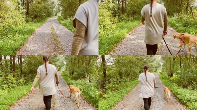 SLO MO女人和她的狗在大自然中散步