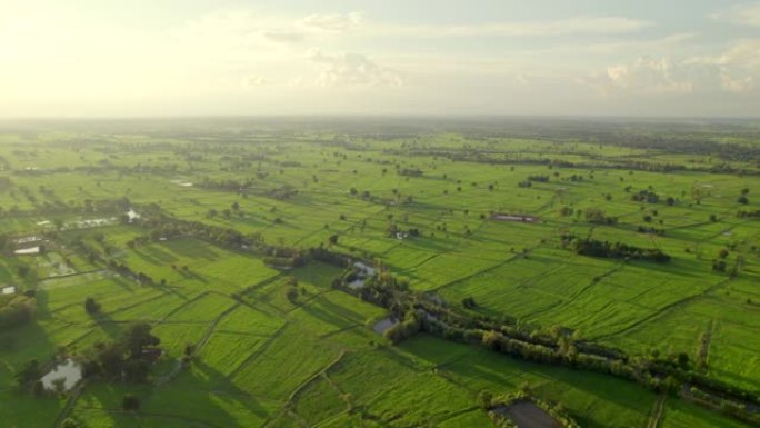 鸟瞰图，农村社区的稻田