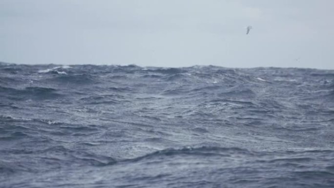 从船上看到波涛汹涌的大海
