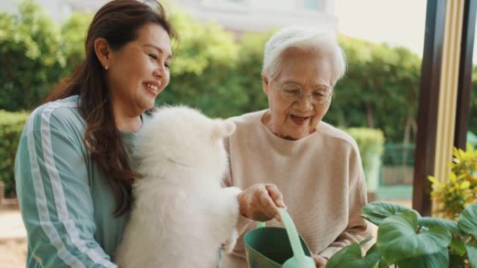 亚洲老年女性和她的女儿关心她的植物