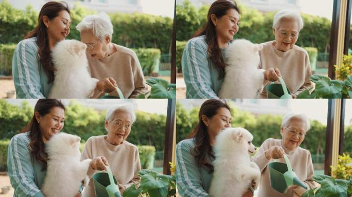 亚洲老年女性和她的女儿关心她的植物