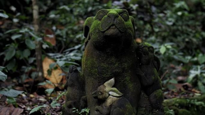 巴厘岛雨林中的古代雕像