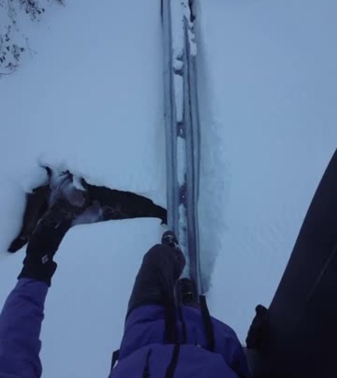 第一人称在新鲜粉末上滑雪，远处的雪山