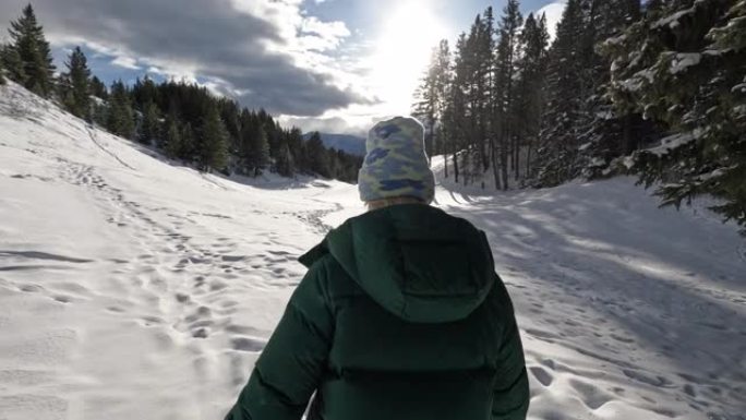 冬季风景中穿越雪的第一视角