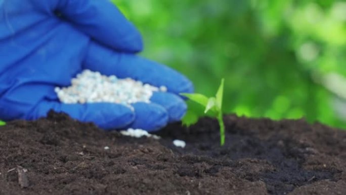 农民手给年轻植物施化肥