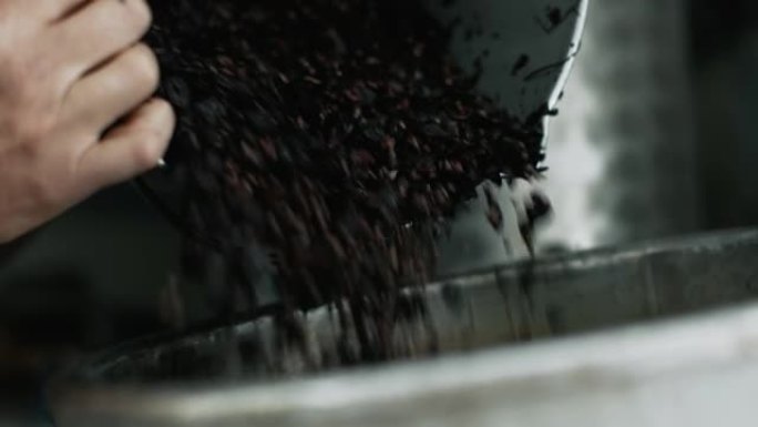 葡萄收获用于酿酒讲故事: 格拉巴酒的制作