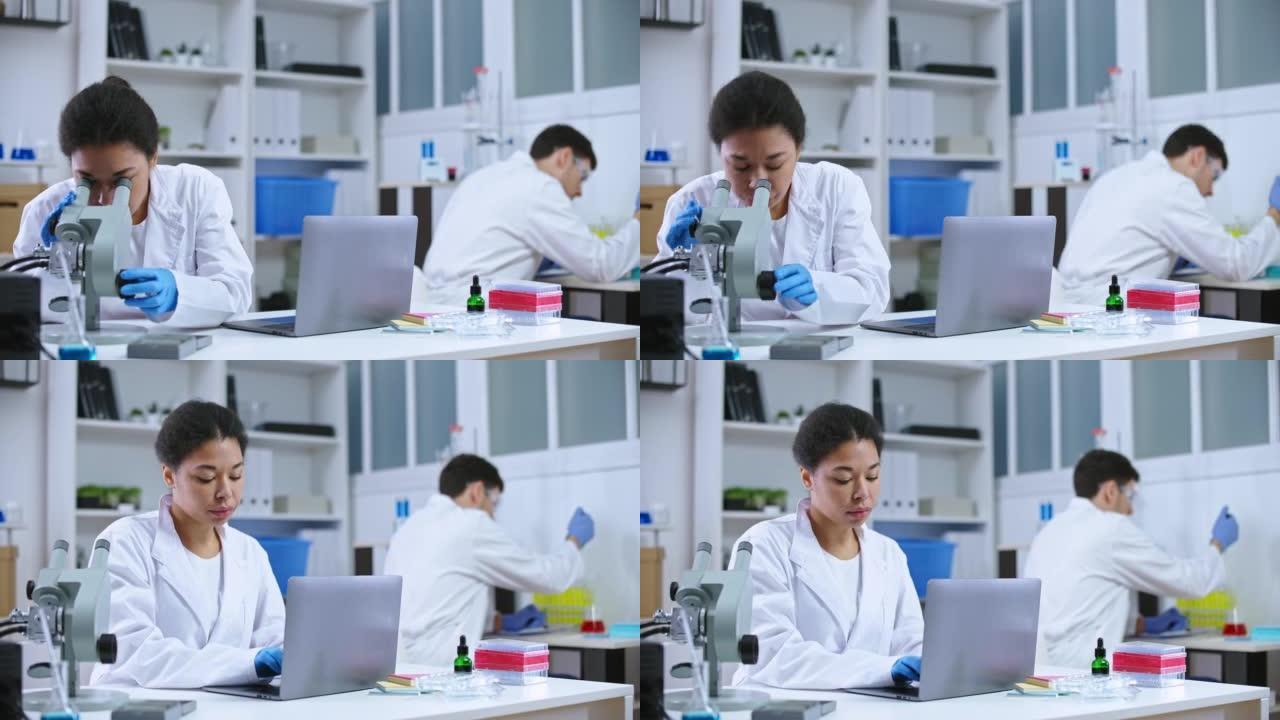 女实验室科学家在显微镜下检查样品，在笔记本电脑上打字结果