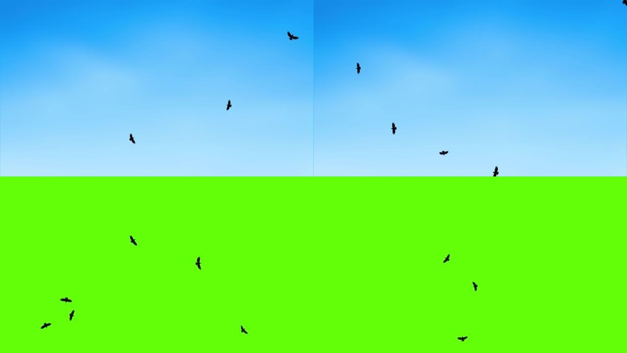 飞鸟在空中环路的野外旅行的全景。