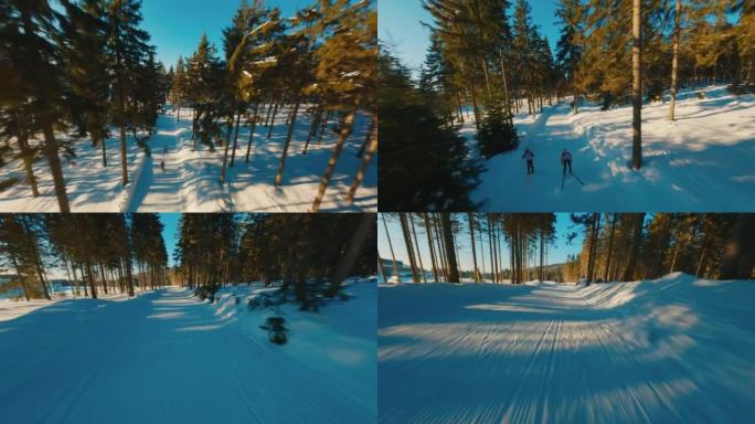 FPV无人机鸟瞰图雪松森林景观与滑雪跑