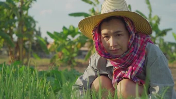 亚洲女人手工除草她的永久花园。