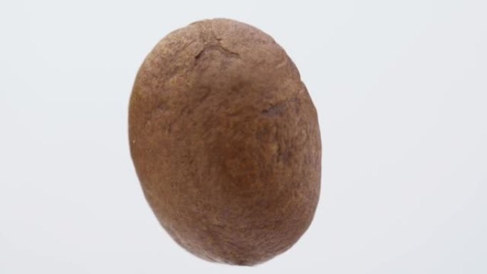 One coffee bean on a white background, rotates. Cl