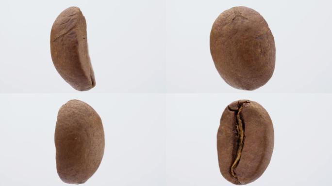 One coffee bean on a white background, rotates. Cl