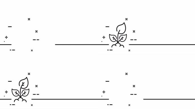 发芽。植物，花卉，花园，泥土，肥料，种子，绿化，光合作用，植物学。一个线条画动画。运动设计。动画技术