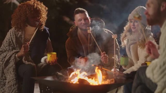 快乐的黑人和白人在冬天的森林旅行中玩得开心，在篝火中烤棉花糖