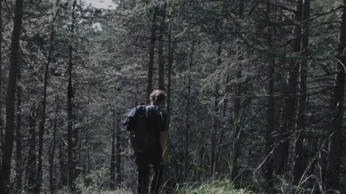 白云岩上的户外冒险: 女人在森林中徒步旅行