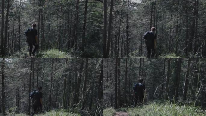 白云岩上的户外冒险: 女人在森林中徒步旅行
