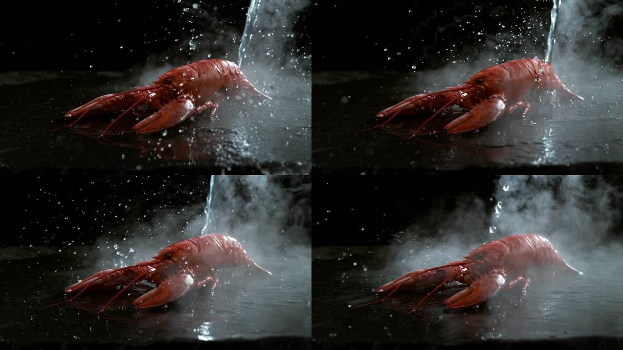 水在慢动作中溅到龙虾上。用幻影弹性4k相机拍摄。