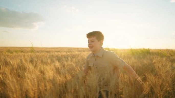 快乐的小男孩在日落时间的金色麦田里独自奔跑，快乐的孩子的肖像，慢动作