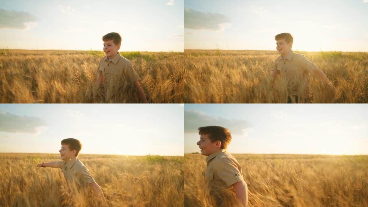 快乐的小男孩在日落时间的金色麦田里独自奔跑，快乐的孩子的肖像，慢动作