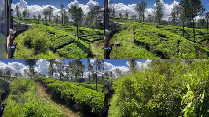 斯里兰卡茶园景观从埃拉镇-世界上最风景如画的铁路之一。旅游和茶叶生产行业概念4k镜头。