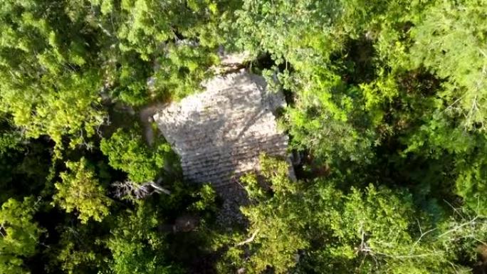 空中无人机拍摄了森林中的古代石阶