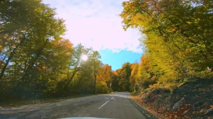 LD在阳光下沿着秋天的森林在沥青路面上行驶