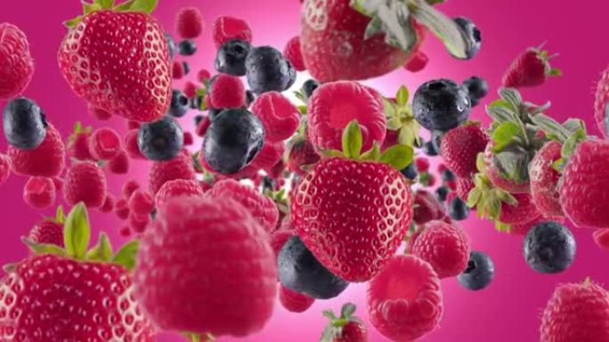 粉色紫红色背景下的草莓覆盆子蓝莓爆发