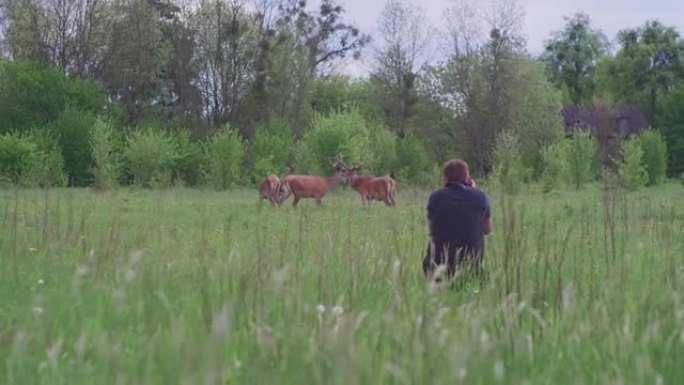 男人在草地上拍摄迪尔。乡村景观