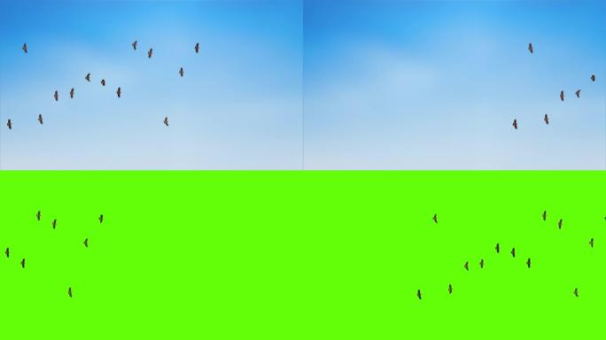 在蓝天循环动画背景中飞翔的鸟类。深紫色天空背景上的轮廓。