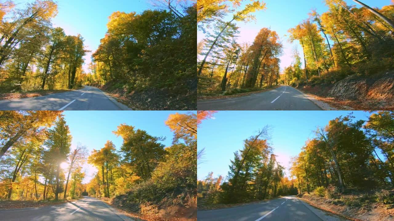 LD在阳光普照的秋天森林环绕的柏油马路上行驶