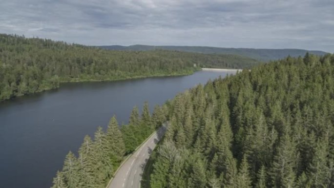 空中无人机拍摄穿过湖边森林的道路