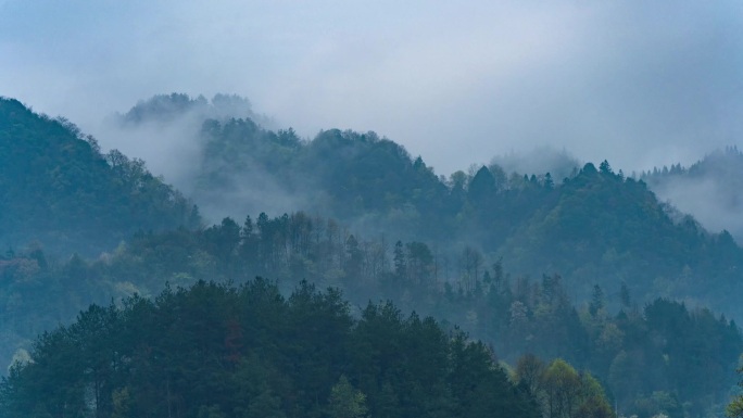 4k森林大自然风景树林山水自然山山川