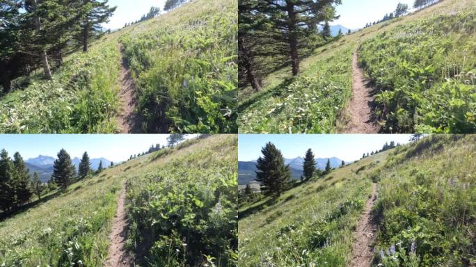 从步道和远山的移动自行车看视点