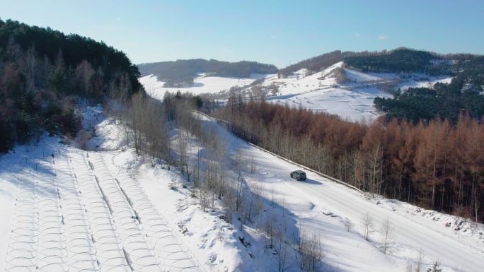 4k航拍雪后的山林