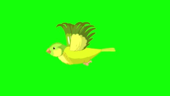 绿色金丝雀飞行色度键4K