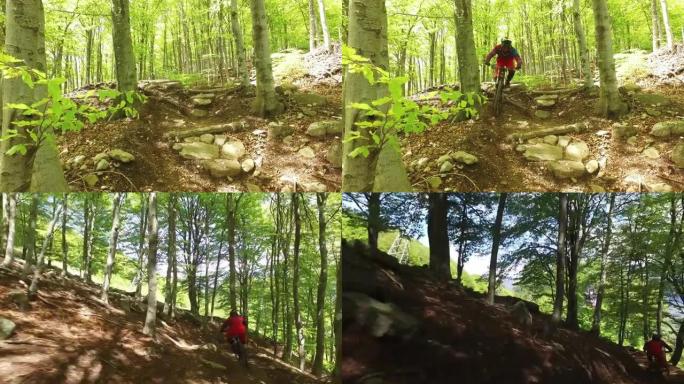 在山地车骑自行车的人在树林中下山的镜头之后